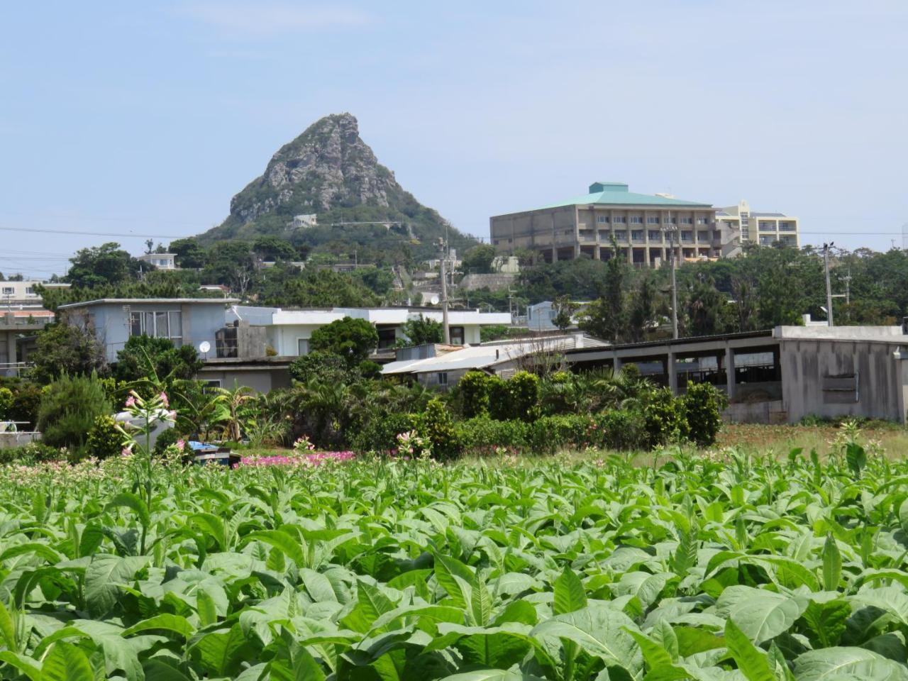 Okinawa Freedom Vila Nakijin Exterior foto