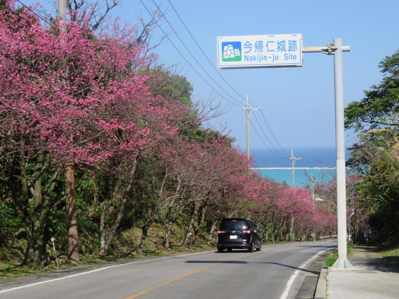 Okinawa Freedom Vila Nakijin Exterior foto